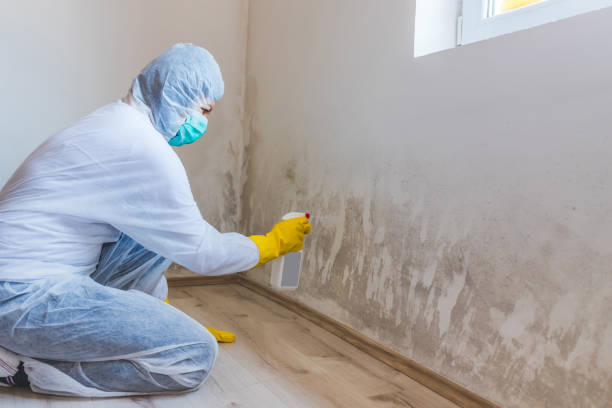 Licensed Bathroom Mold Removal service in Bedford, PA - WQB Mold Removal