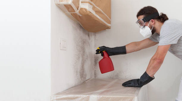 Professional Bathroom Mold Removal technician working in Bedford, PA