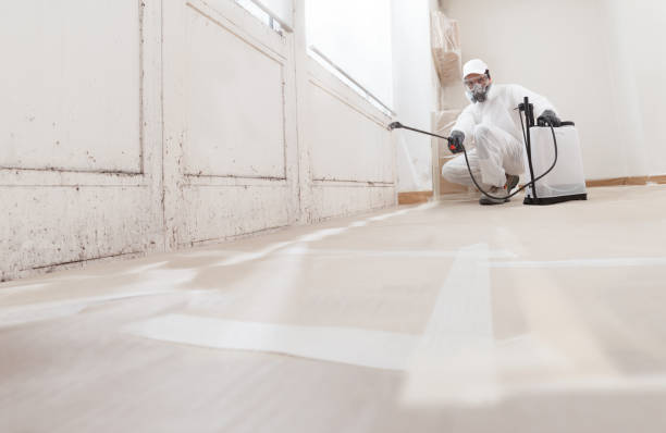 24/7 Emergency Bathroom Mold Removal experts in Bedford, PA