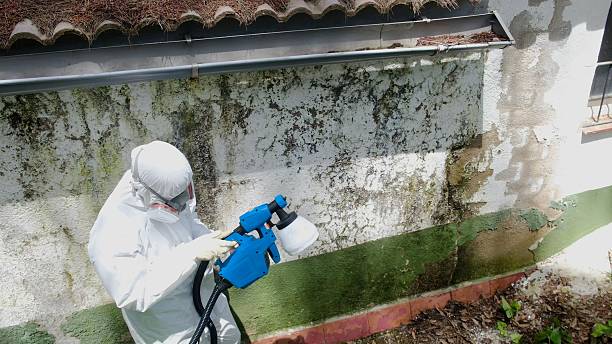 Top rated local Bathroom Mold Removal specialists in Bedford, PA